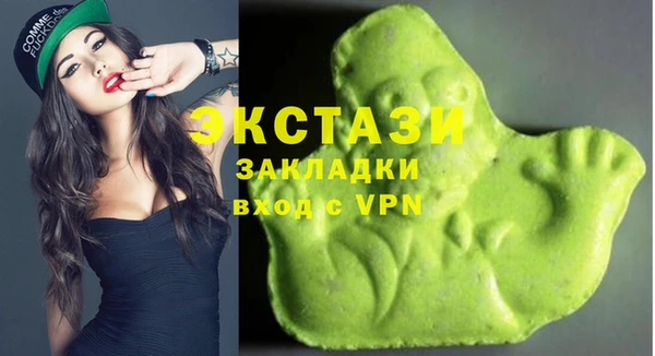 гидра Вязьма
