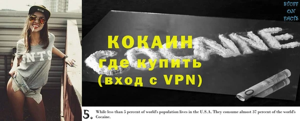 гидра Вязьма