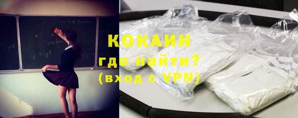 гидра Вязьма
