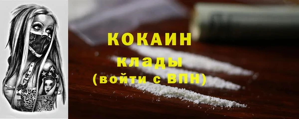 гидра Вязьма