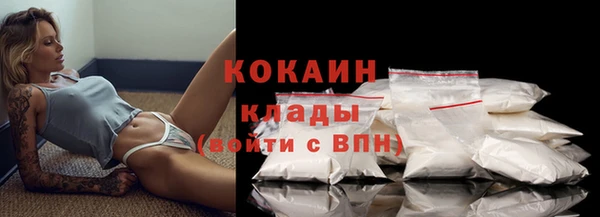 гидра Вязьма