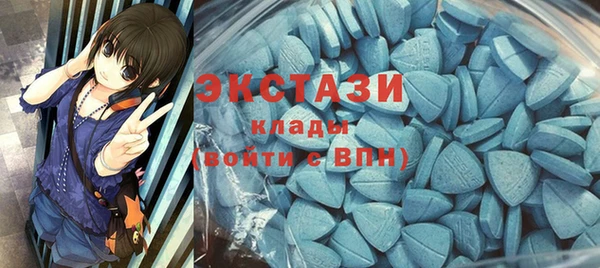 гидра Вязьма