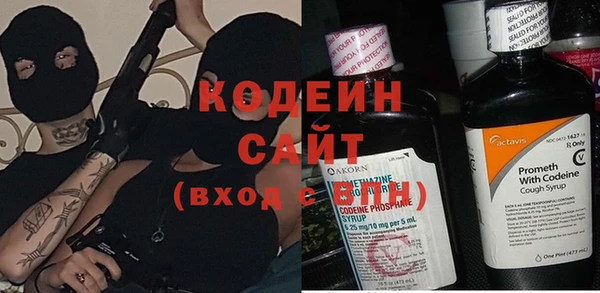 гидра Вязьма
